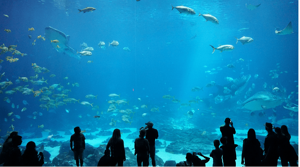 The Aquarium of Paris