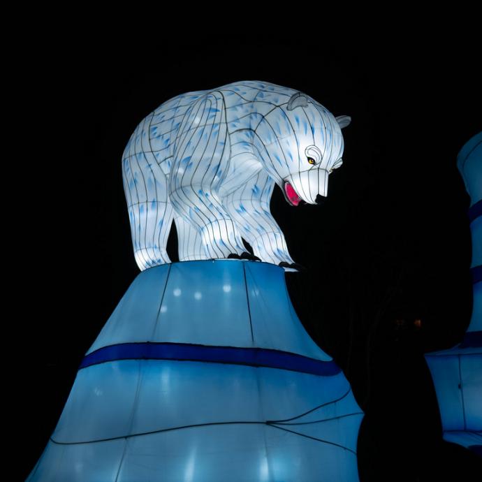 Species in the process of illumination