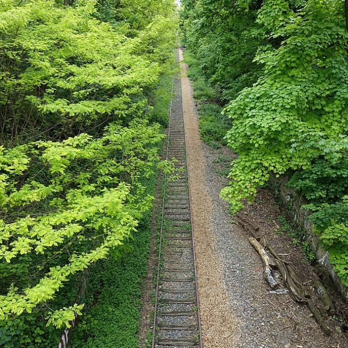 La Petite Ceinture