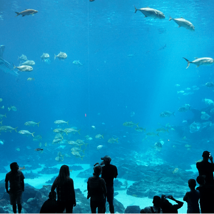 The Aquarium of Paris